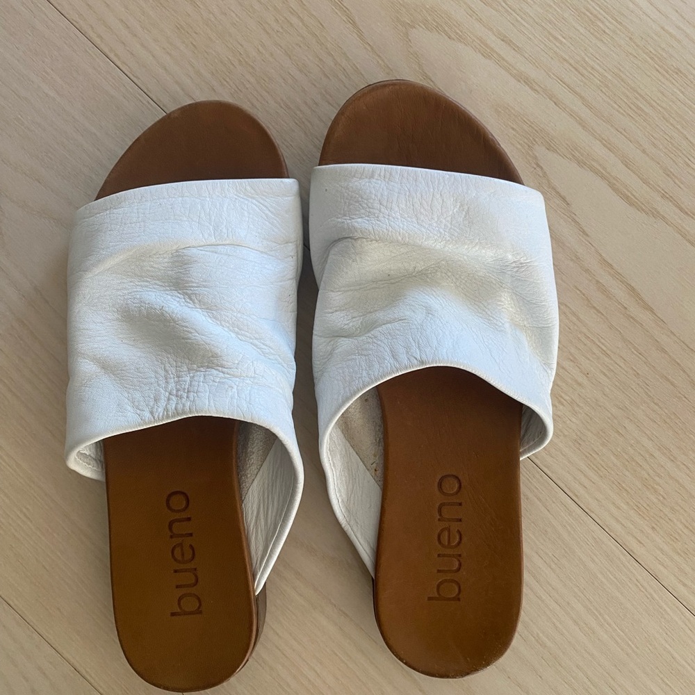 BUENO SLIDES